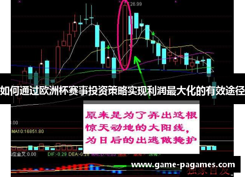 如何通过欧洲杯赛事投资策略实现利润最大化的有效途径