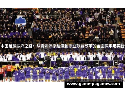 中国足球振兴之路：从青训体系建设到职业联赛改革的全面探索与实践