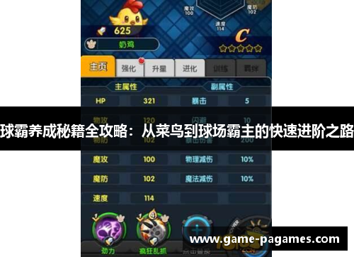 球霸养成秘籍全攻略：从菜鸟到球场霸主的快速进阶之路