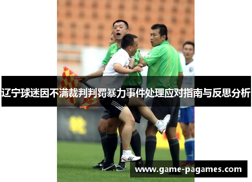 辽宁球迷因不满裁判判罚暴力事件处理应对指南与反思分析