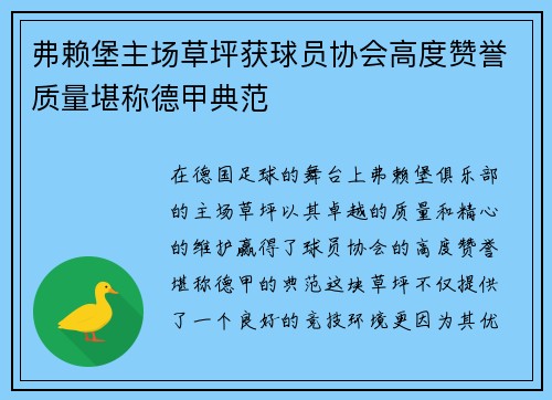 弗赖堡主场草坪获球员协会高度赞誉质量堪称德甲典范 弗赖堡主场草坪获球员协会高度赞誉质量堪称德甲典范